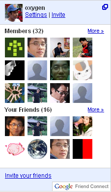 Google Friend Connect
