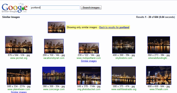 google_similar_images.png
