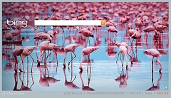 bing3_240
