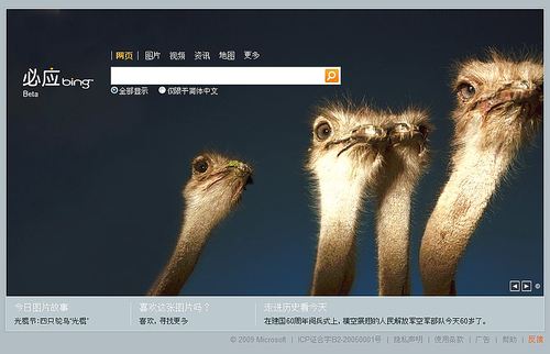 bing_500