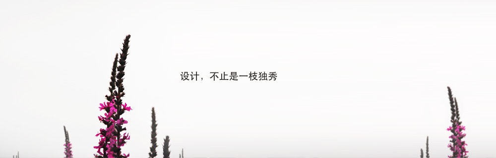 设计不止是一枝独秀 - slan - slan